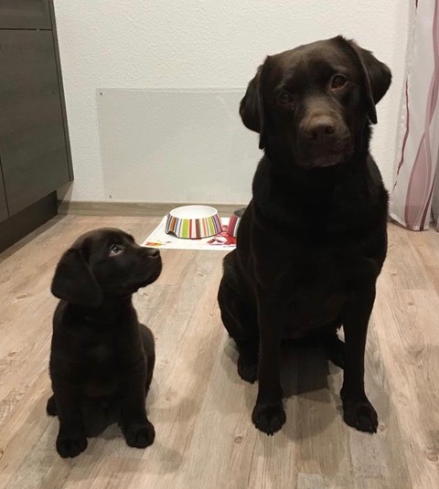 Charlie und Mia