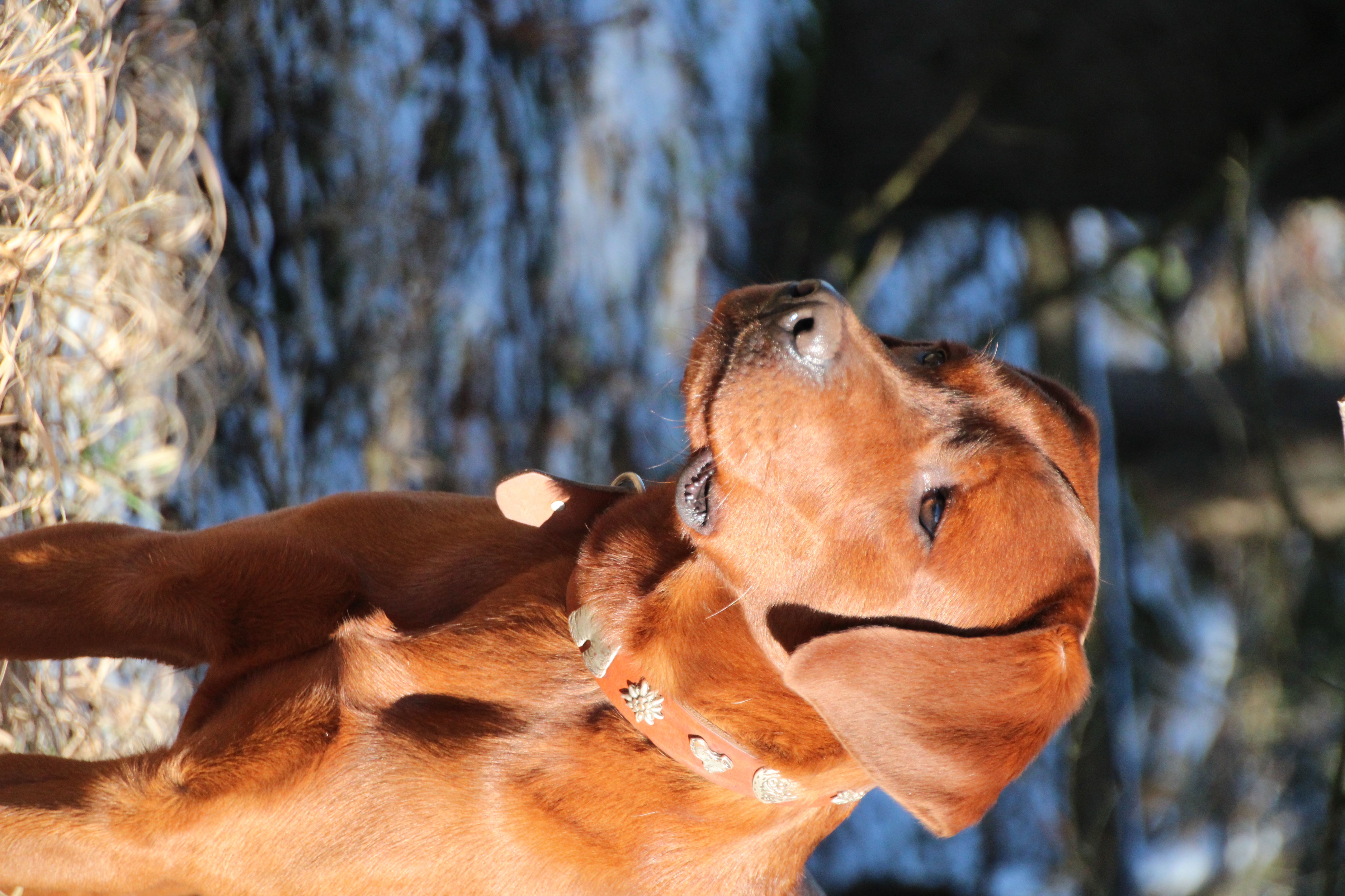 Settler´s Winnetou